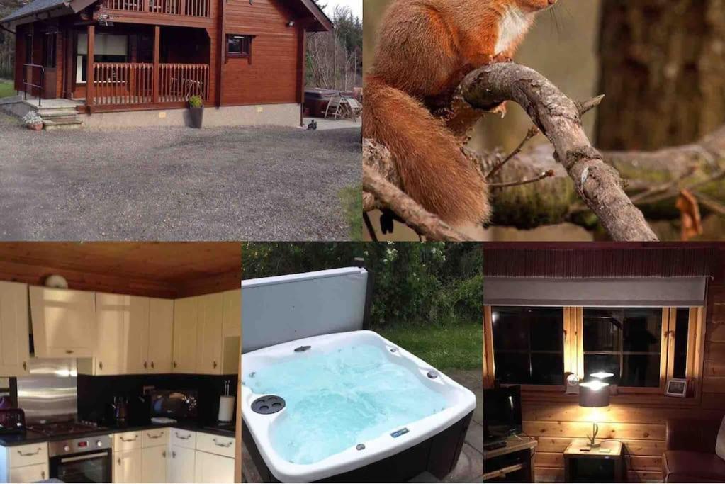 Villa Red Squirrel Log Cabin With Hot Tub Keith Exterior foto